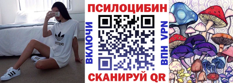 Псилоцибиновые грибы мицелий  закладки  Ноябрьск 